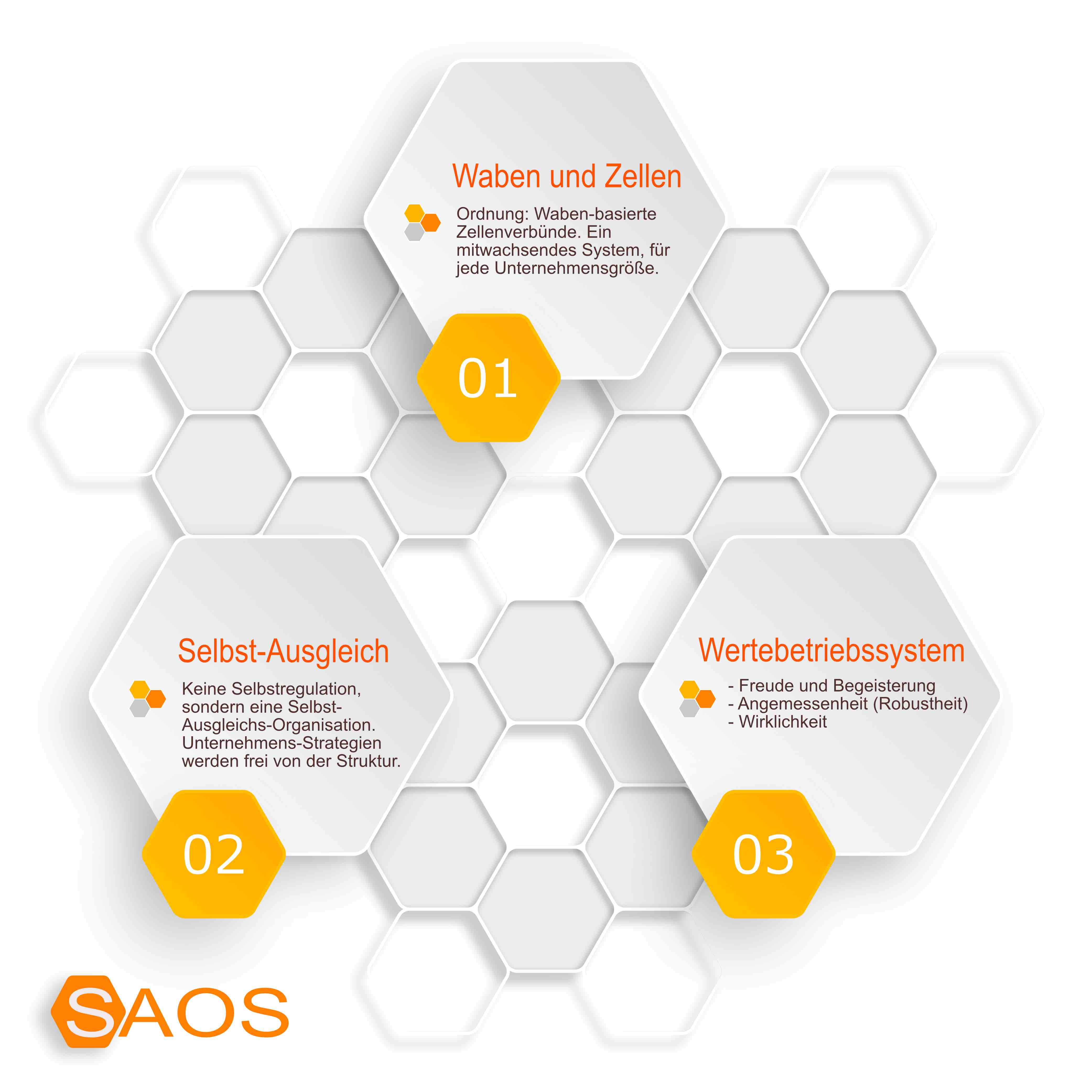 SAOS - Organisationssystem zur Organsiationsentwicklung